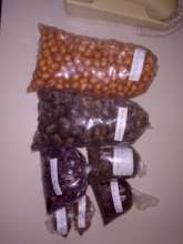 Native seeds collected for reforestation