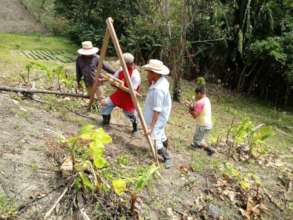 Establishing a new agroforestry parcel