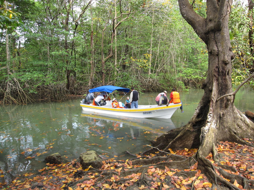 Clean Water for Coastal Panama