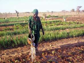 Market gardener in Mali