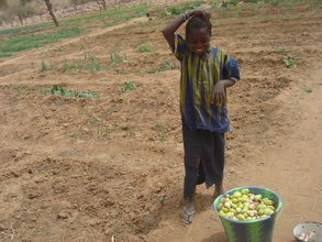Eight communities benefited from production.