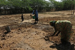 Preparing the ground in a community market garden