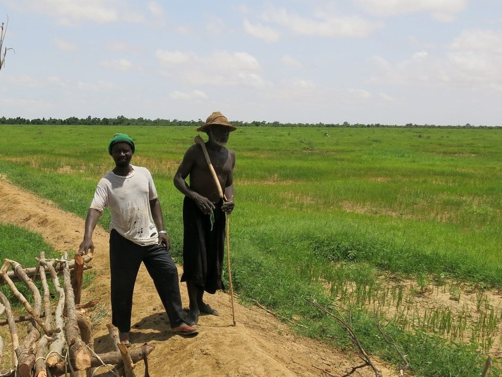 Increase food production and security in Mali
