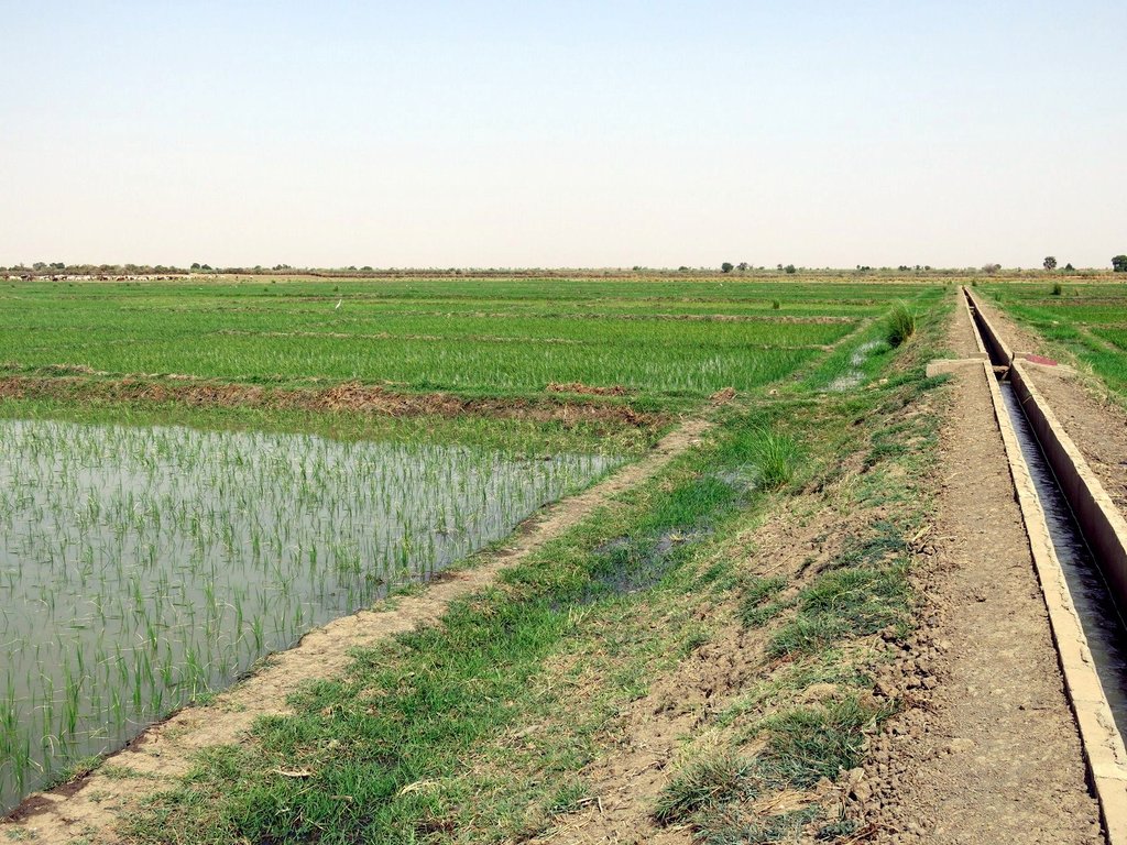 Increase food production and security in Mali