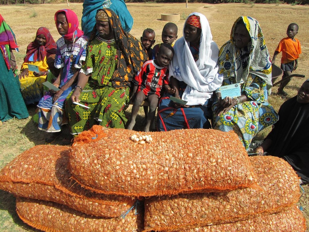 Increase food production and security in Mali