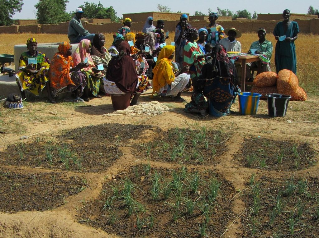 Increase food production and security in Mali