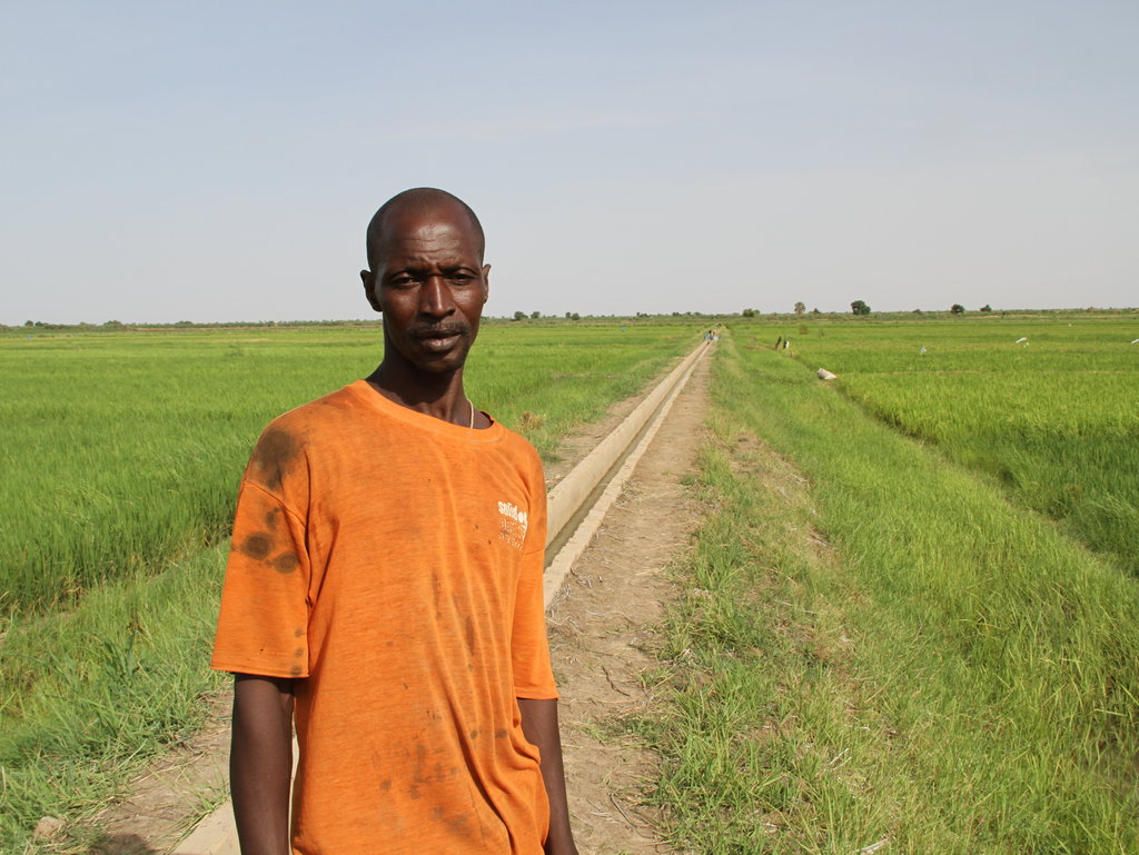 Increase food production and security in Mali