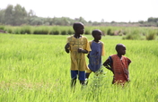 Increase food production and security in Mali