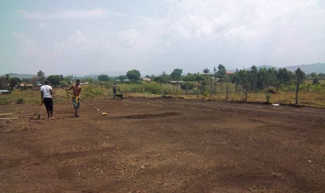 Preparing the tilf for seeding
