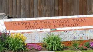 Keep victims of elder abuse safe