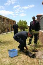 Plant 3,000 trees in Africa