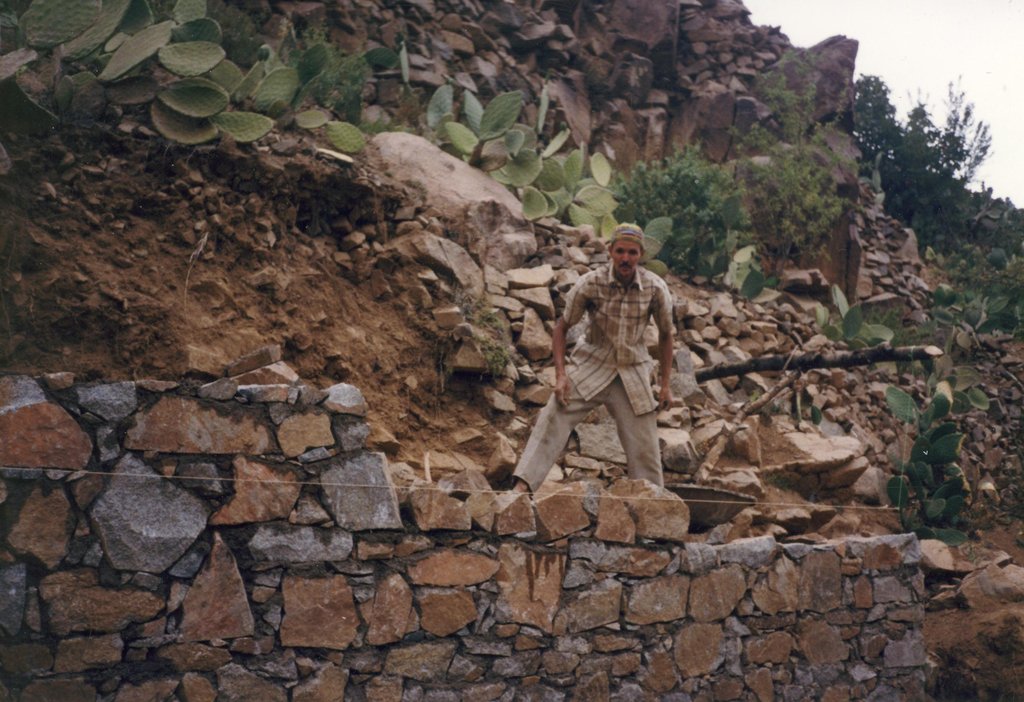 Responsible Poultry-Raising in Rural Morocco