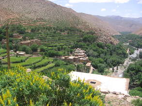 Location of chicken houses