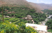 Responsible Poultry-Raising in Rural Morocco