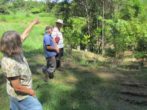 Planting trees in a corridor in The Big Scrub