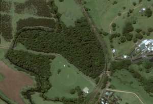 Parts of the Big Scrub Rainforest