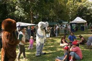 Celebrating Wildlife of The Big Scrub