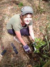 Erynn Stephens of RR planting trees