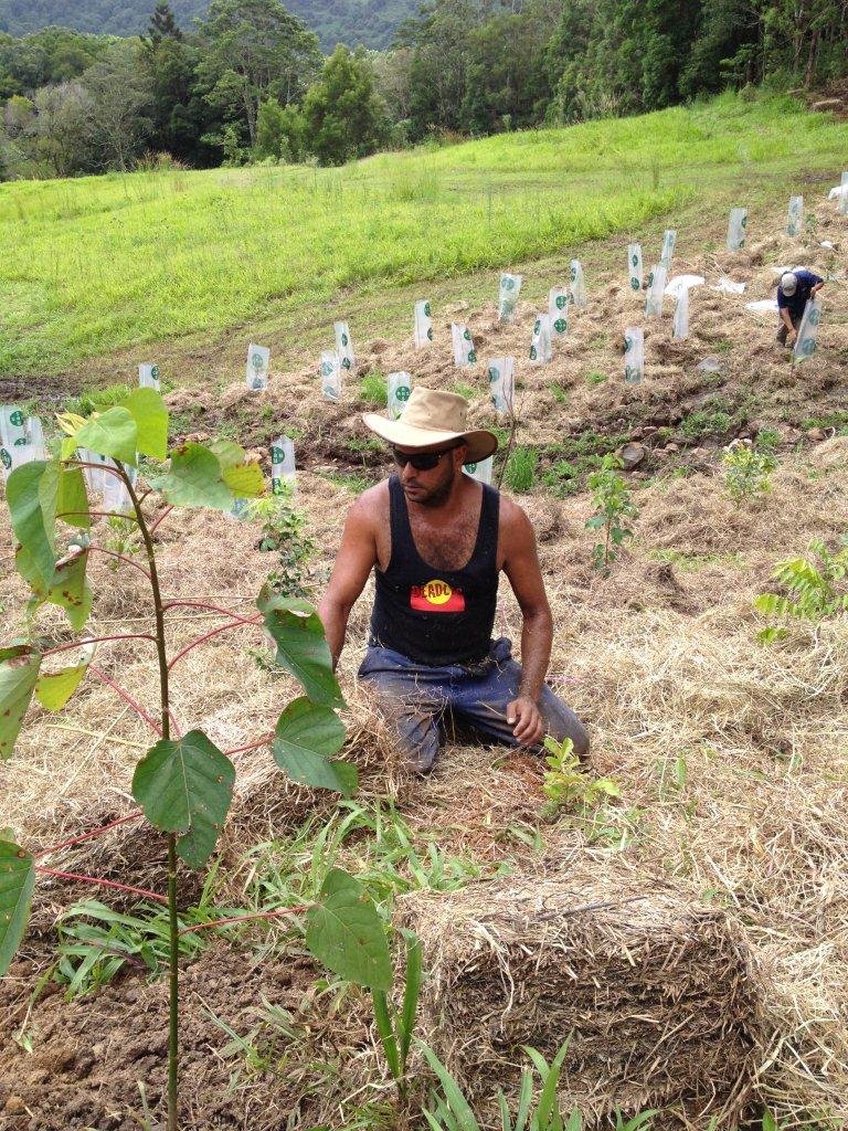 Help Aboriginal Green Team For Australia's Forests