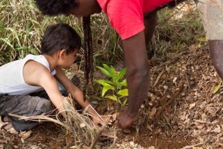 Help Aboriginal Green Team For Australia's Forests