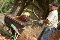 Help Aboriginal Green Team For Australia's Forests