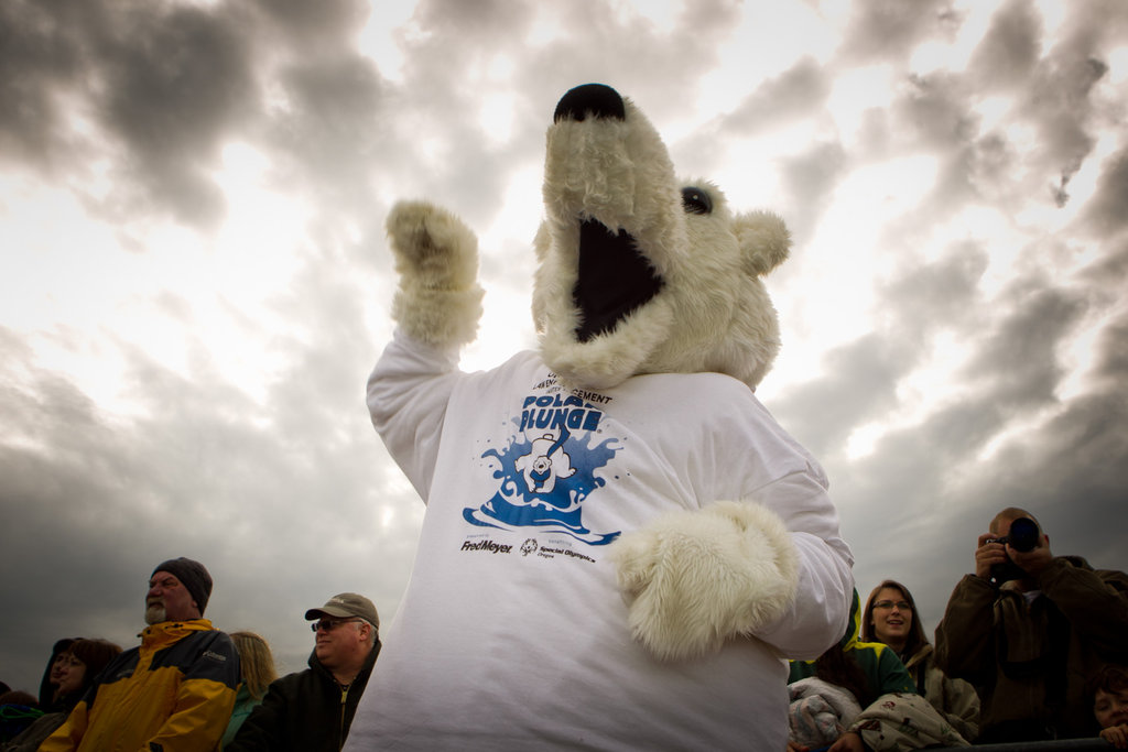 Register for the 2015 Polar Plunge!
