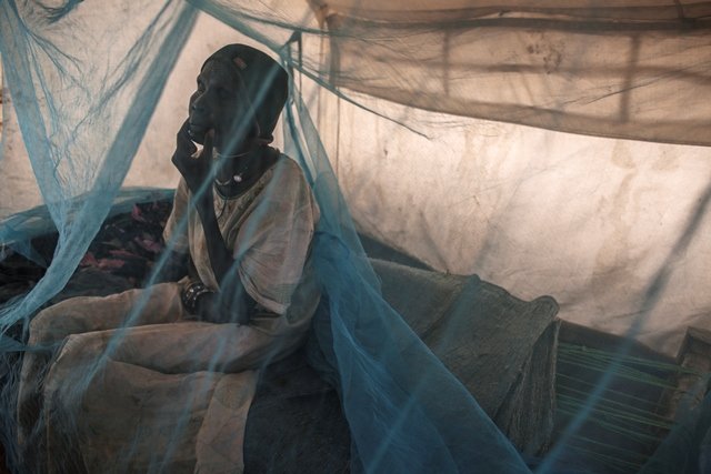 Sudan: Send Emergency Aid to Save Refugees' Lives