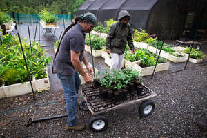 the nursery team busy at work