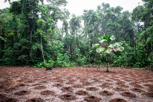 land prepared for planting