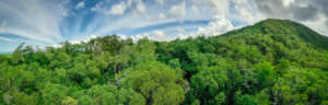 Lot 30 Panorama - Martin Stringer Photography