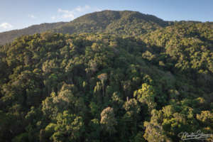 Aerial View of Lot 18