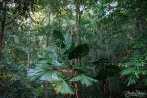 Inside View of Lot 18