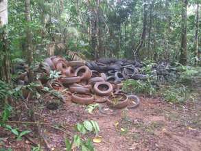 Tyres at Rosewood Road awaiting removal