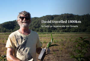 Community Tree Planting