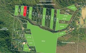 Map of Lot 17 Cape Tribulation Road