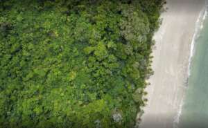 Lot 1 Cape Trib-Where Forest Meets the Reef