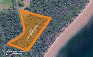 Map of Lot 1 Cape Tribulation Road