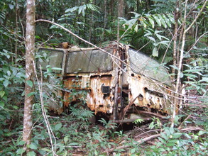 many old cars left to rot in the rainforest