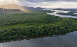 Intact wetland areas show potential for the Oxbow