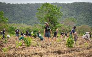 Actively working on the land in the lower Daintree