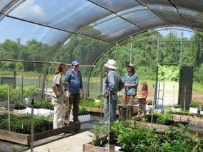 Daintree Rainforest Nursery