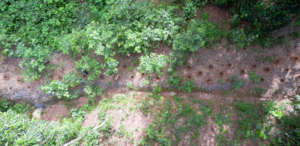 Drone image of the track