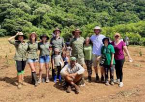 Rainforest Rescue Team