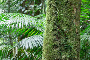 Photo: Martin Stringer