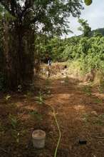 Thanks to Your Generosity, Trees in the Ground