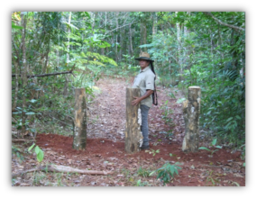 Work at a restoration site, Daintree October 2015