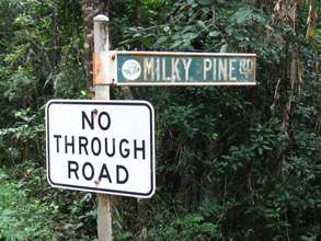 No mailboxes here, just rainforest