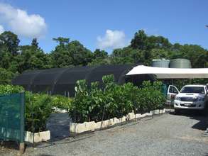 Healthy seedlings will be planted within 2 months