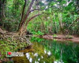 Mason's Swimming Hole (Credit: Martin Stringer)