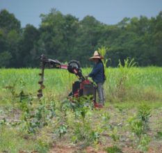 Drilling holes for planting at nightwings